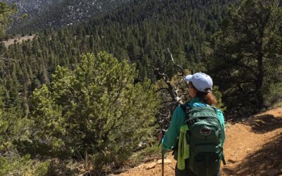 5 Focus Areas for a Post-injury Hiking Trip